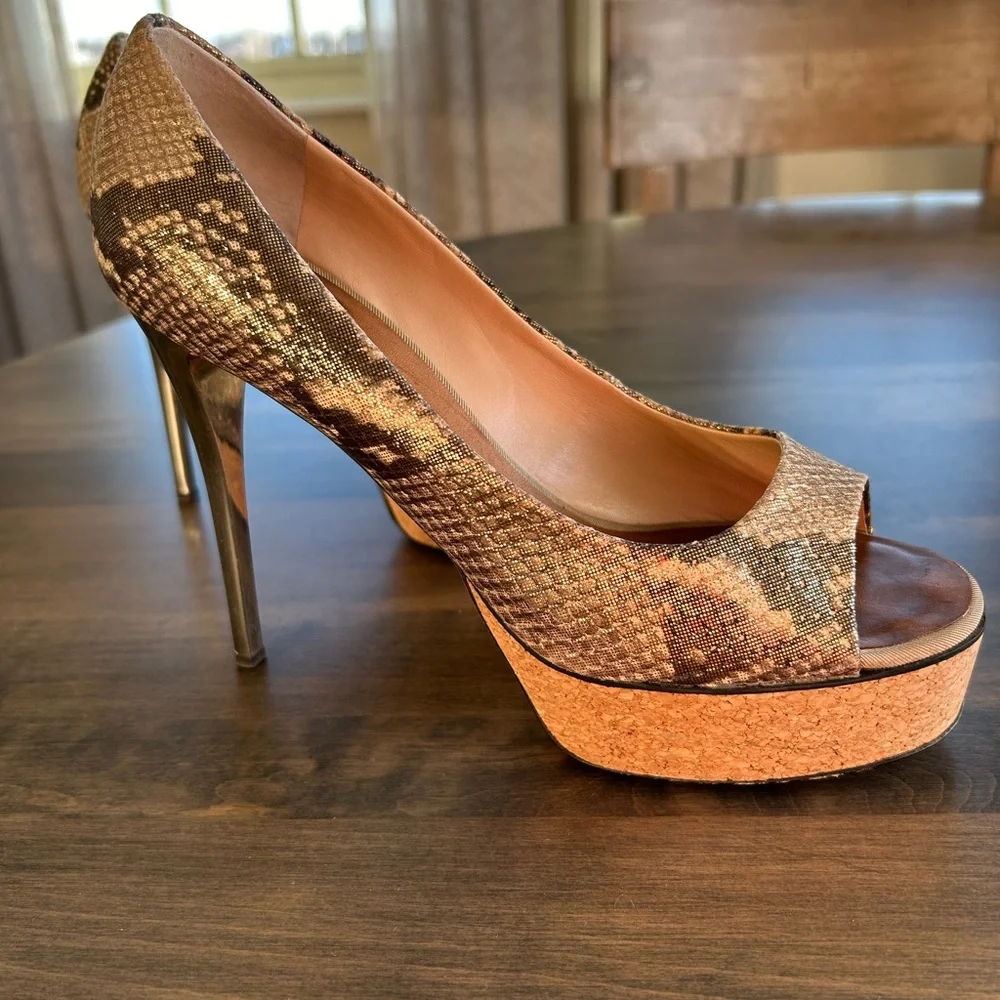 Giuseppe Zanotti Stiletto